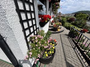 Photo 24- click for photo gallery